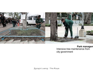 Intensive tree maintenance from
city government
Park managem
S a n a m L u a n g : T h e R o y a
 