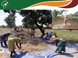 Africa RISING review of progress Ghana 2013