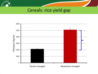 Africa RISING review of progress Ghana 2013