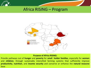 Africa RISING review of progress Ghana 2013