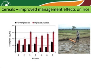 Africa RISING review of progress Ghana 2013