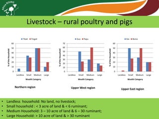 Africa RISING review of progress Ghana 2013
