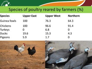 Africa RISING review of progress Ghana 2013