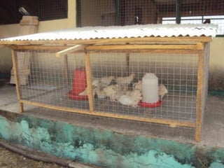 Africa RISING review of progress Ghana 2013