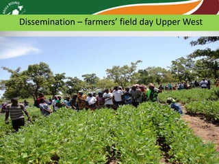 Africa RISING review of progress Ghana 2013