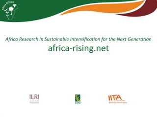 Africa RISING review of progress Ghana 2013
