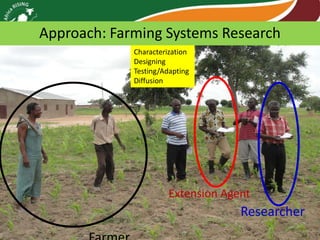 Africa RISING review of progress Ghana 2013