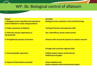 WP: 3b: Biological control of aflatoxin
Output
1. Biological strains identified and selected to
control aflatoxin in maize and groundnuts

Activities
Biological strains selection in lab and field testing

2. Public awareness of aflatoxin

Training of farmers and extension staff

3. Field trial and pre-registration as
bio-pesticide

Test field efficacy of bio-control strains

4. Strengthened capacity of partners

Enhance infra-structural capacity to conduct research

Arrange inter and intra-regional visits
5. Increased public awareness

Publish project reports and brochures
Publish journal paper

6. Impact of interventions assessed

Assess adoption rate
Assess economic and environmental impact

 