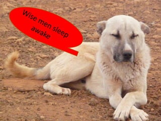 Africa RISING 2014 plans Ghana