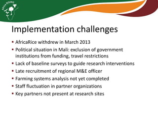Implementation challenges
 AfricaRice withdrew in March 2013
 Political situation in Mali: exclusion of government
institutions from funding, travel restrictions
 Lack of baseline surveys to guide research interventions
 Late recruitment of regional M&E officer
 Farming systems analysis not yet completed
 Staff fluctuation in partner organizations
 Key partners not present at research sites

 