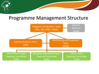Programme Management Structure
Program Coordination Team
(IITA, ILRI, IFPRI, USAID)

Communications Team
(ILRI)

West Africa Project
Steering Committee
(IITA)

Science
Advisory
Group

Monitoring and Evaluation
Team
(IFPRI)

Ethiopian Highlands Project
Steering Committee
(ILRI)

E&SA Project
Steering Committee
(IITA)

 