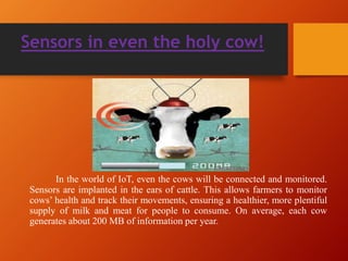 Sensors in even the holy cow!
In the world of IoT, even the cows will be connected and monitored.
Sensors are implanted in the ears of cattle. This allows farmers to monitor
cows’ health and track their movements, ensuring a healthier, more plentiful
supply of milk and meat for people to consume. On average, each cow
generates about 200 MB of information per year.
 