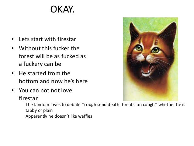 the fundamental basics of warrior cats