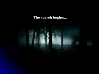 The search begins… 