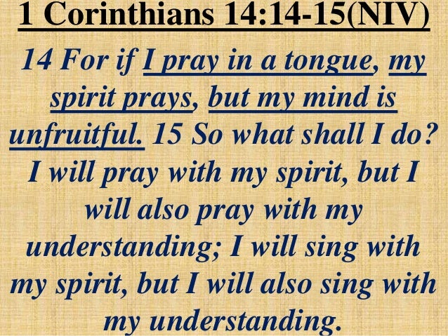 Warriors Ss Bible Study July 26 2015