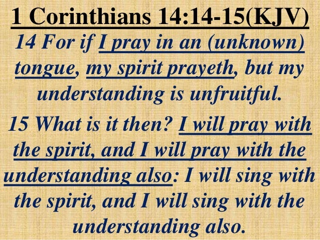 Warriors Ss Bible Study July 26 2015