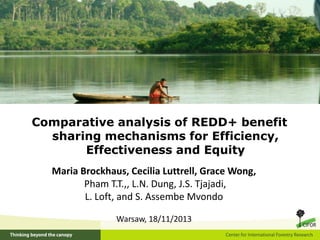 Comparative analysis of REDD+ benefit
sharing mechanisms for Efficiency,
Effectiveness and Equity
Maria Brockhaus, Cecilia Luttrell, Grace Wong,
Pham T.T.,, L.N. Dung, J.S. Tjajadi,
L. Loft, and S. Assembe Mvondo
Warsaw, 18/11/2013
 