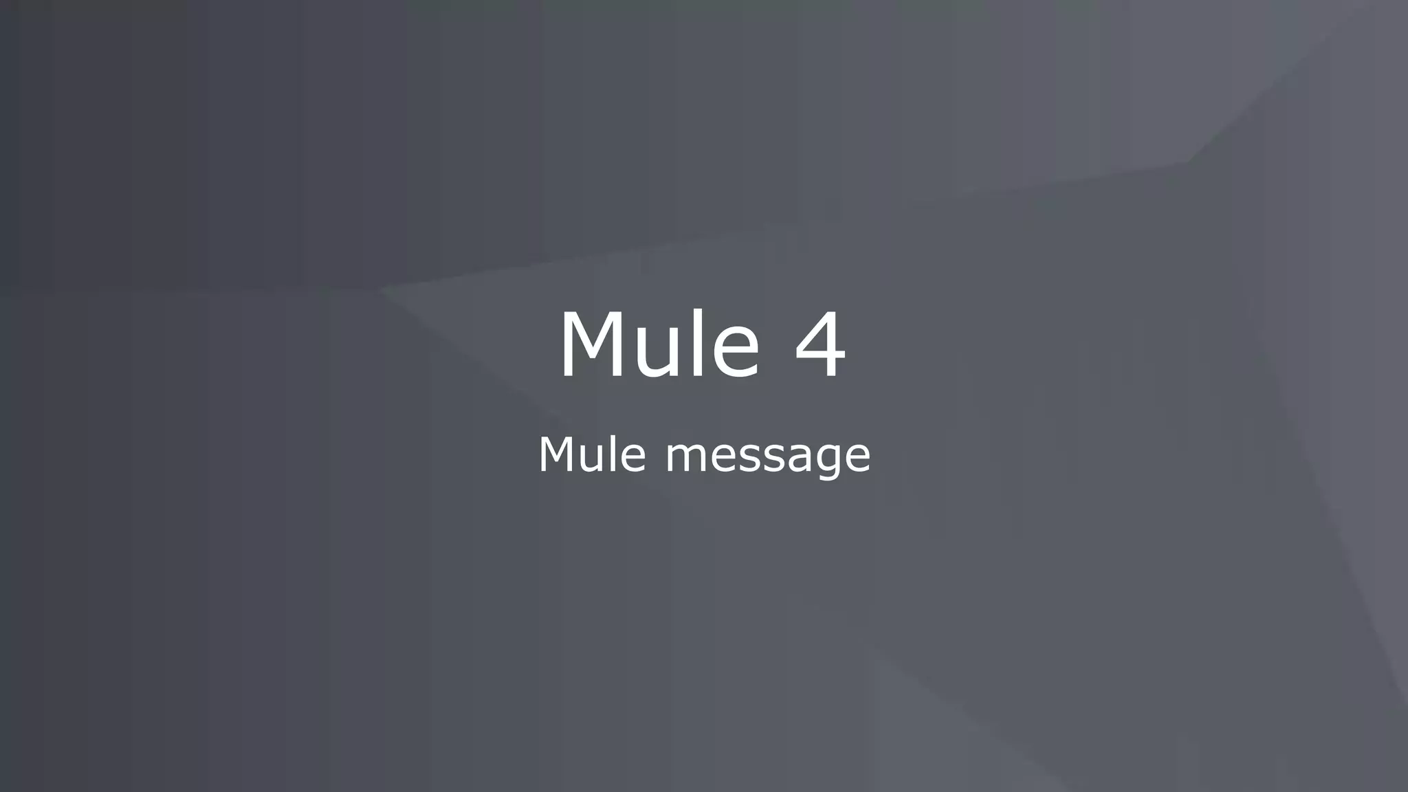 Mule message
Mule 4
 