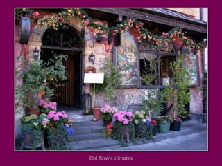 Old Towns climates