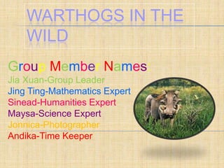 WARTHOGS IN THE
WILD
Group Member Names:
Jia Xuan-Group Leader
Jing Ting-Mathematics Expert
Sinead-Humanities Expert
Maysa-Science Expert
Jonnica-Photographer
Andika-Time Keeper
 