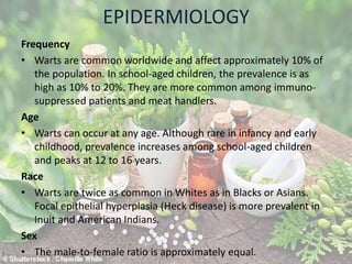 EPIDERMIOLOGY
Frequency
• Warts are common worldwide and affect approximately 10% of
the population. In school-aged children, the prevalence is as
high as 10% to 20%. They are more common among immuno-
suppressed patients and meat handlers.
Age
• Warts can occur at any age. Although rare in infancy and early
childhood, prevalence increases among school-aged children
and peaks at 12 to 16 years.
Race
• Warts are twice as common in Whites as in Blacks or Asians.
Focal epithelial hyperplasia (Heck disease) is more prevalent in
Inuit and American Indians.
Sex
• The male-to-female ratio is approximately equal.
 