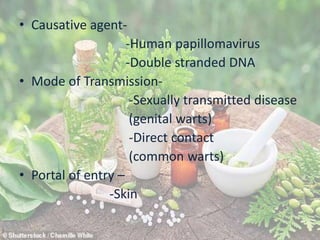 • Causative agent-
-Human papillomavirus
-Double stranded DNA
• Mode of Transmission-
-Sexually transmitted disease
(genital warts)
-Direct contact
(common warts)
• Portal of entry –
-Skin
 