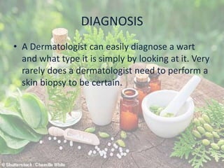 DIAGNOSIS
• A Dermatologist can easily diagnose a wart
and what type it is simply by looking at it. Very
rarely does a dermatologist need to perform a
skin biopsy to be certain.
 