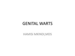 GENITAL WARTS
HAMISI MKINDI,MD5
 
