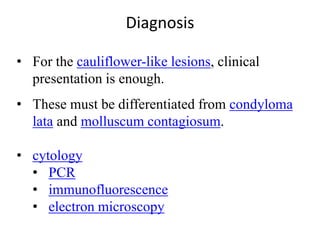 • For the cauliflower-like lesions, clinical
presentation is enough.
• These must be differentiated from condyloma
lata and molluscum contagiosum.
• cytology
• PCR
• immunofluorescence
• electron microscopy
Diagnosis
 