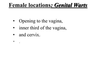 Female locations: Genital Warts
• Opening to the vagina,
• inner third of the vagina,
• and cervix.
• .
 