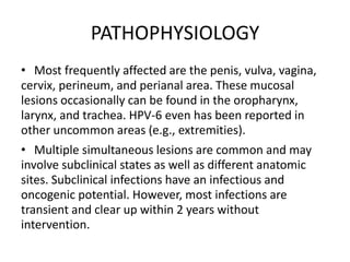 PATHOPHYSIOLOGY
• Most frequently affected are the penis, vulva, vagina,
cervix, perineum, and perianal area. These mucosal
lesions occasionally can be found in the oropharynx,
larynx, and trachea. HPV-6 even has been reported in
other uncommon areas (e.g., extremities).
• Multiple simultaneous lesions are common and may
involve subclinical states as well as different anatomic
sites. Subclinical infections have an infectious and
oncogenic potential. However, most infections are
transient and clear up within 2 years without
intervention.
 