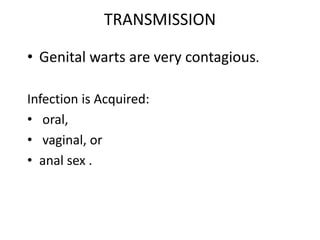 TRANSMISSION
• Genital warts are very contagious.
Infection is Acquired:
• oral,
• vaginal, or
• anal sex .
 