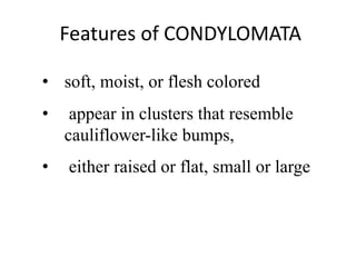 • soft, moist, or flesh colored
• appear in clusters that resemble
cauliflower-like bumps,
• either raised or flat, small or large
Features of CONDYLOMATA
 