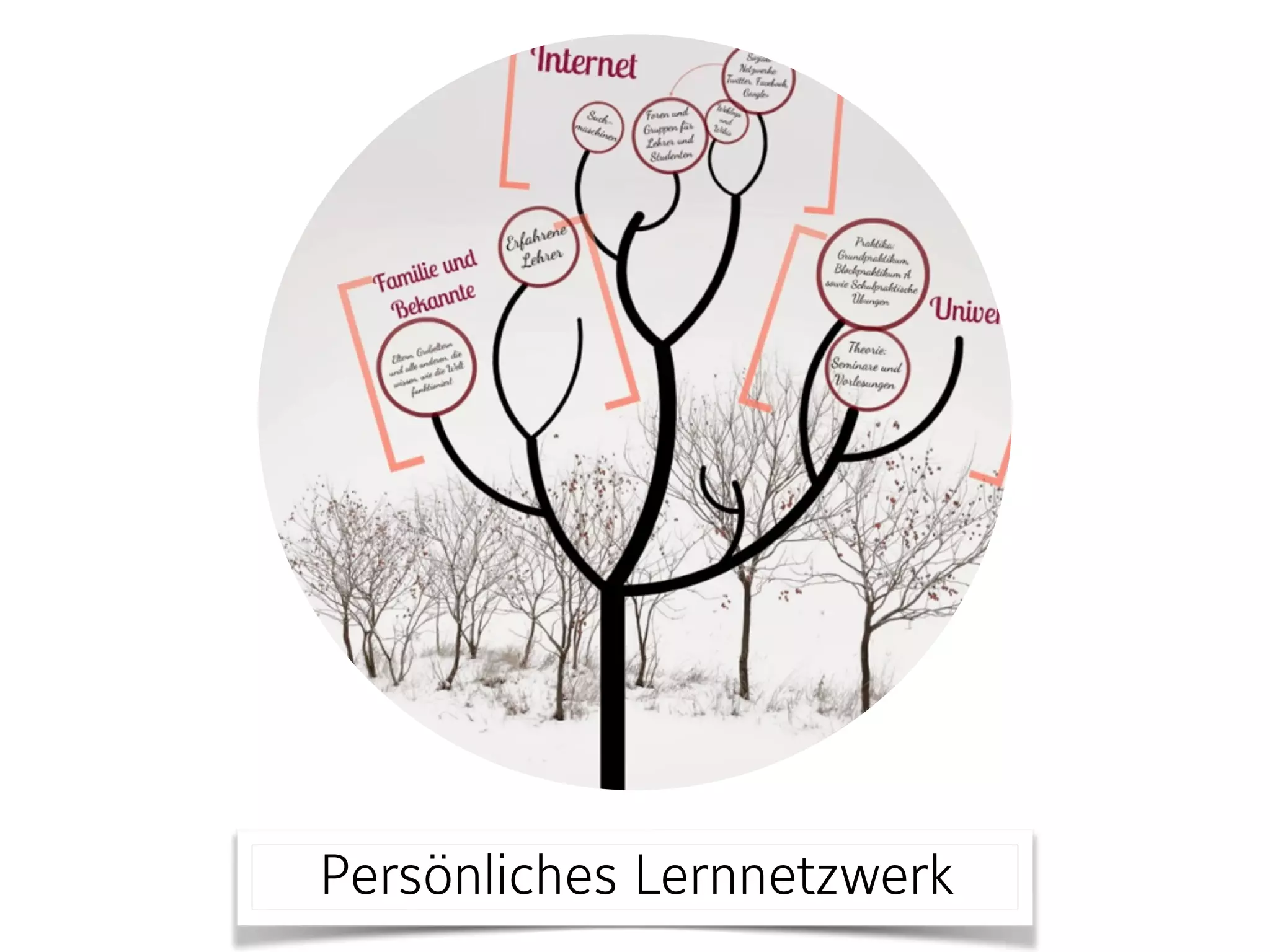 Persönliches Lernnetzwerk