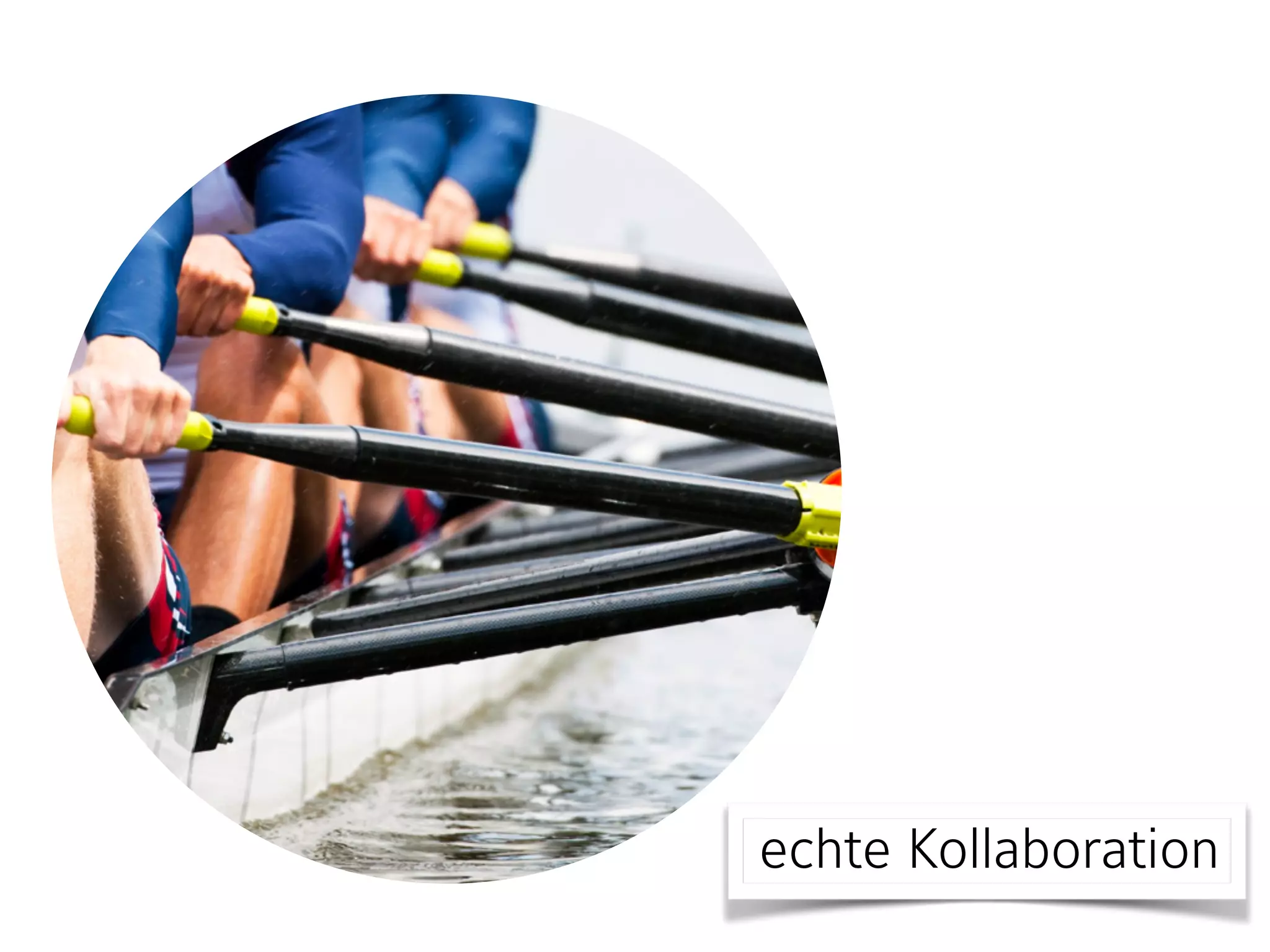 echte Kollaboration