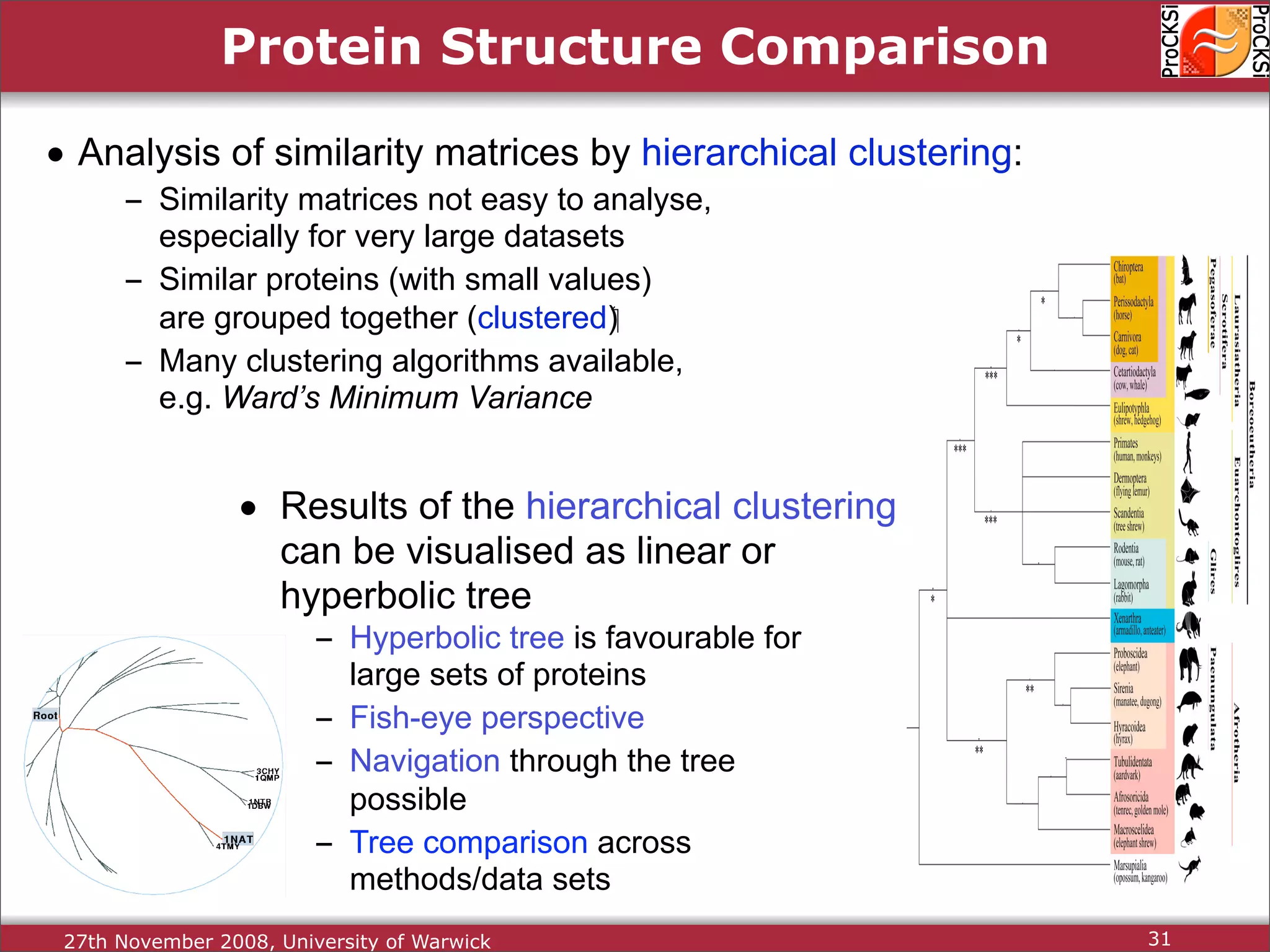 Protein Structure Alignment and Comparison