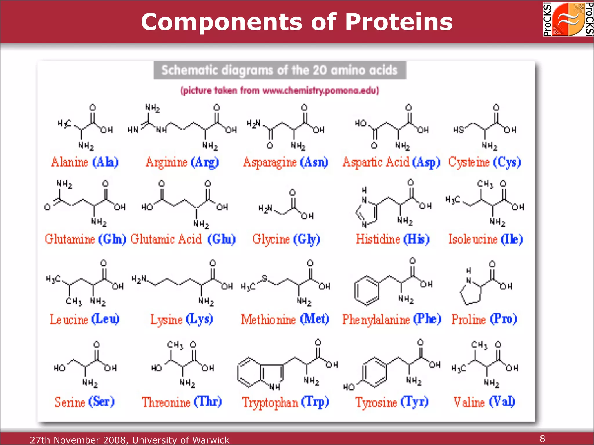 Protein Structure Alignment and Comparison