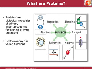 Protein Structure Alignment and Comparison