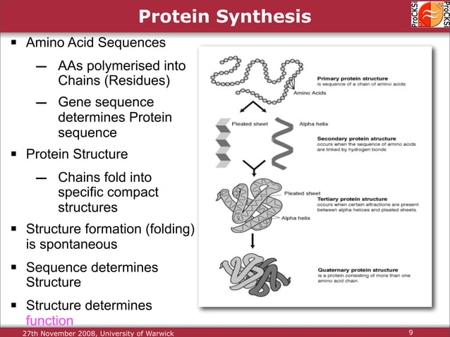 Protein Structure Alignment and Comparison