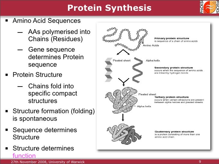 Protein Structure Alignment and Comparison