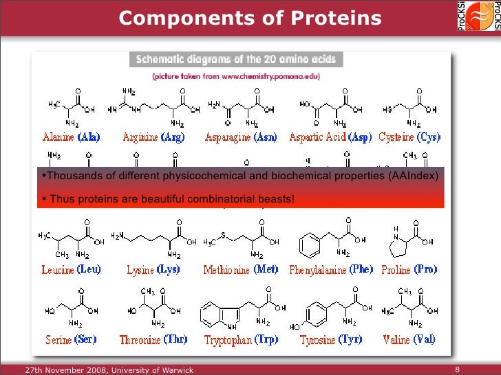 Protein Structure Alignment and Comparison