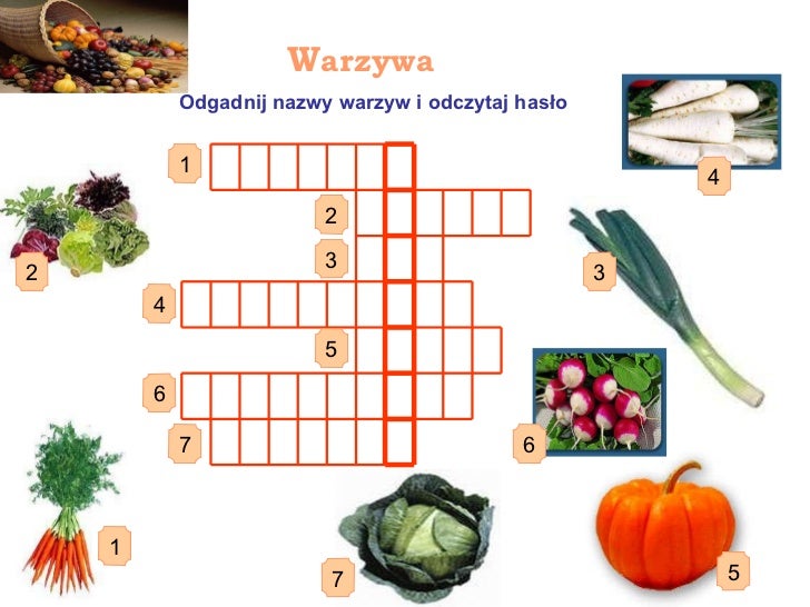 Błędnie Nazywany Ostem Górskim Krzyżówka Warzywna krzyżówka