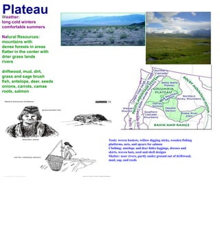 PlateauWeather:long cold winterscomfortable summers Natural Resources:mountains with dense forests in areasflatter in the center with drier grass landsriversdriftwood, mud, dirt,grass and sage brushfish, antelope, deer, seedsonions, carrots, camas roots, salmonTools: woven baskets, willow digging sticks, wooden fishing platforms, nets, and spears for salmonClothing: antelope and deer hides leggings, dresses and skirts, woven hats, seed and shell designsShelter: near rivers, partly under ground out of driftwood, mud, sap, and reeds
