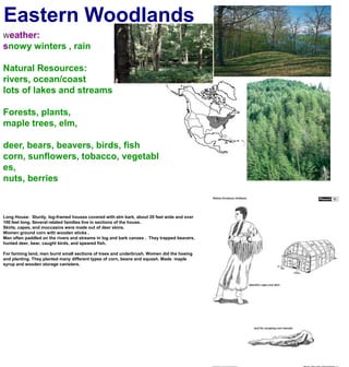 Eastern WoodlandsWeather:snowy winters , rainNatural Resources:rivers, ocean/coastlots of lakes and streamsForests, plants, maple trees, elm,deer, bears, beavers, birds, fishcorn, sunflowers, tobacco, vegetables,nuts, berriesLong House:  Sturdy, log-framed houses covered with elm bark, about 20 feet wide and over 100 feet long. Several related families live in sections of the house.Skirts, capes, and moccasins were made out of deer skins.Women ground corn with wooden sticks .Men often paddled on the rivers and streams in log and bark canoes .  They trapped beavers, hunted deer, bear, caught birds, and speared fish.For farming land, men burnt small sections of trees and underbrush. Women did the hoeing and planting. They planted many different types of corn, beans and squash. Made  maple syrup and wooden storage canisters.