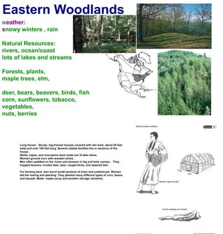 Eastern WoodlandsWeather:snowy winters , rainNatural Resources:rivers, ocean/coastlots of lakes and streamsForests, plants, maple trees, elm,deer, bears, beavers, birds, fishcorn, sunflowers, tobacco, vegetables,nuts, berriesLong House:  Sturdy, log-framed houses covered with elm bark, about 20 feet wide and over 100 feet long. Several related families live in sections of the house.Skirts, capes, and moccasins were made out of deer skins.Women ground corn with wooden sticks .Men often paddled on the rivers and streams in log and bark canoes .  They trapped beavers, hunted deer, bear, caught birds, and speared fish.For farming land, men burnt small sections of trees and underbrush. Women did the hoeing and planting. They planted many different types of corn, beans and squash. Made  maple syrup and wooden storage canisters.