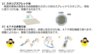 ２）スタンプスプレッド法
検査対象物の表面を合成樹脂製のスポンジ状のスプレッドでスタンプし、培地
に塗りつけた後、培養する方法です。
３）ＡＴＰふき取り法
ふき取り棒で検体をふき取り、試薬と反応させた後、ＡＴＰ測定機器で調べます。
培養によらない、簡易で迅速性のある検査方法です。
《培養》
細菌
《採取》
 