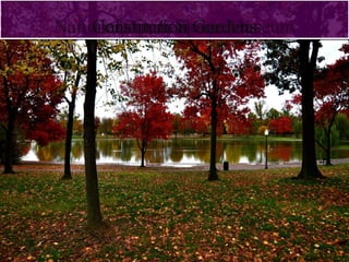 NNaattiiooCCnJnJoeaoeanflnfl f fOsAOseAettripriipistrsteruoeu o r&tr&ntnaiaio o MHSMnHSnp po eoGeGaaumumcacsaseoreeored dr MrMieieaannululsssseeuumm 
