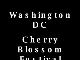 Washington DC Cherry Blossom Festival 