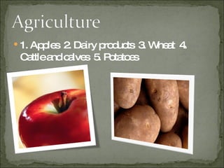 1. Apples  2. Dairy products  3. Wheat  4. Cattle and calves  5. Potatoes 