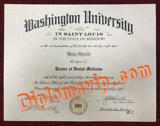 Washington University fake degree 